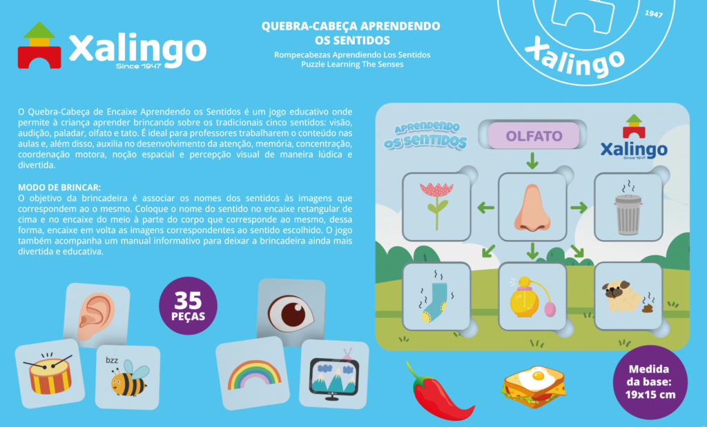 Steam Educativo Jogo da Memória Partes do Corpo Humano Xalingo - xalingo