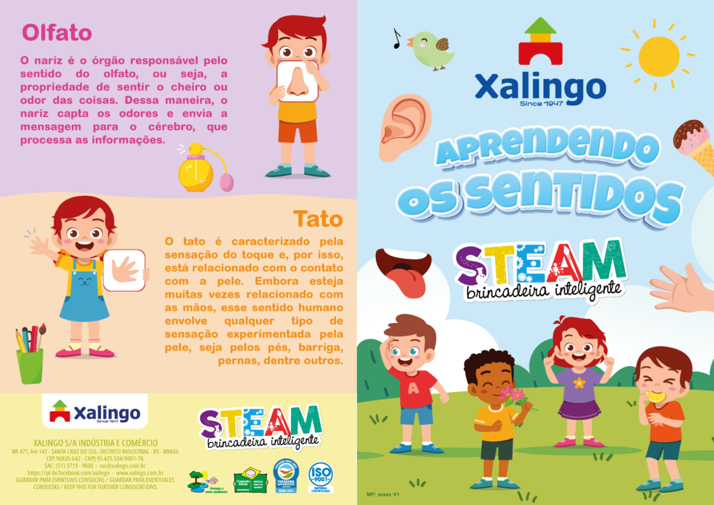Steam Quebra-Cabeça Educativo Aprendendo os Sentidos Xalingo - xalingo
